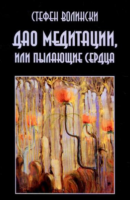 [Стефен Волински] Дао медитации, или Пылающие серд_0.png